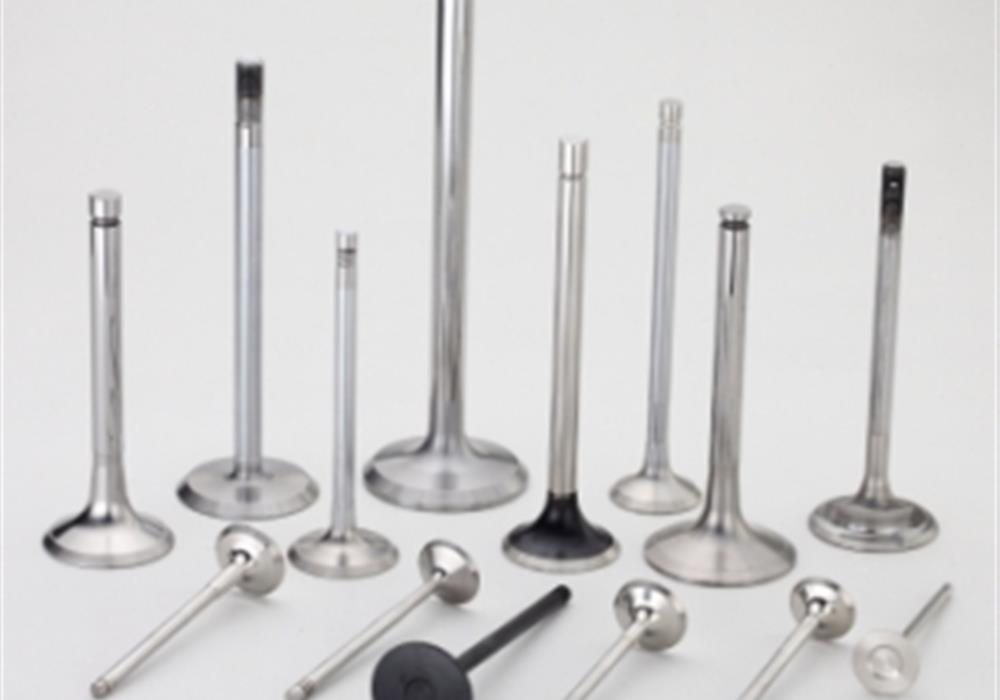 Engine Valves